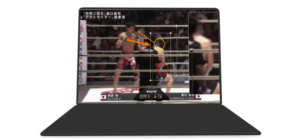 格闘技フォーム解析・分析TouTubeチャンネルのロゴ画像